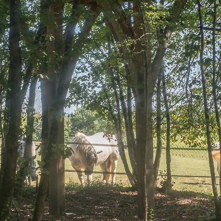 Willa Bois Des Nauzes Seyches Zewnętrze zdjęcie