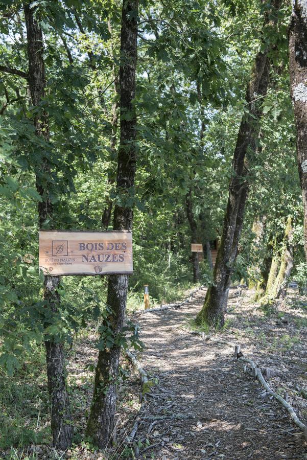 Willa Bois Des Nauzes Seyches Zewnętrze zdjęcie